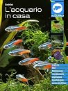 L'acquario in casa L'acquario in casa