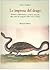 Le imprese del drago. Politica, emblematica e scienze natural... by Marco Ruffini