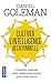 Cultiver l'intelligence relationnelle by Daniel Goleman