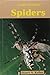 Spiders (Nature's Predators)