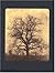 William Henry Fox Talbot