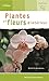 Plantes Et Fleurs D'intérieur