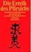 Die Erotik Des Pfirsichs: 12 Porträts Japanischer Schriftsteller