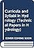 Curricula and Syllabi in Hy...