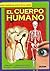 El Cuerpo Humano / The Human Body: Hechos Fantasticos acerca de tu cuerpo / Fantastic Facts About your Body (Como, Donde, Cuando?/how, Where, When?) (Spanish Edition)