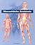 Menschliche Anatomie