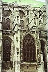 La catedral gótic...