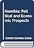 Namibia: Political and economic prospects