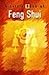Little Book of Feng Shui