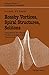 Rossby Vortices, Spiral Structures, Solitons: Astrophysics and Plasma Physics in Shallow Water Experiments (Springer Series in Nonlinear Dynamics)