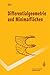 Differentialgeometrie Und M...