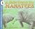 A Safe Home for Manatees (Let'S-Read-And-Find-Out-Science, Stage 1)