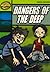 Rapid Stage 6 Set A: Dangers of the Deep (Series 1): Stage 6A (RAPID SERIES 1)