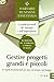 Gestire progetti grandi e piccoli. Le regole fondamentali per stare nei tempi e nel budget