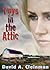 Toys In The Attic