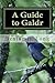 A Guide to Galdr