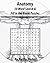 Anatomy: 50 Word Searches A...