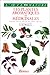 Les Plantes Aromatiques Et Médicinales