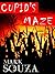 Cupid's Maze