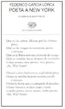 Poeta a New York....