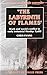 The Labyrinth of Flames: Work and Social Conflict in Early Industrial Merthyr (Studies in Welsh History)