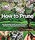 How to Prune: An Illustrate...