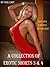 A Collection of Erotic Shorts 3 & 4