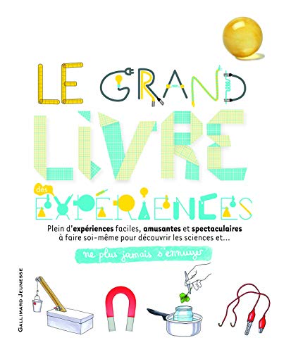 LE GRAND LIVRE DES EXPERIENCES (Paperback)