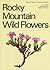 Rocky Mountain Wild Flowers