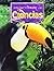 Nuestro Sistema Solar, Support Reader Level 3 Chapter 9, 6pk: Houghton Mifflin Science Spanish (Hm Science 2007 Spanish)