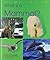 What Is a Mammal (Pebble Books)