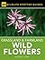 Wild Flowers