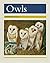 Owls: Leveled Reader 6pk Gold (Levels 21-22) (Rigby PM Collection)