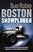 Boston Snowplough: A David Roth Thriller