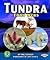 Tundra Food Webs