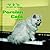 Persian Cats (Kid's Cat Library)