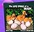 The Life Cycle of a Duck (Life Cycles Library)