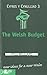 The Welsh Budget by Phil Williams