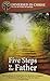 Five Steps to the Father: The Five Phases of Growth Into the Mysteries of Baptism as Revealed in Five Phrases of the Our Father (Immersed in Christ)