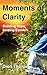 Moments of Clarity by Dion Thorpe