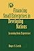 Financing Small Enterprises in Developing Countries by Roger S. Leeds