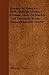 Slavery In America - With N...