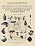 Archaeology of the Bronze Age, Hellenistic, and Roman Remains at an Ancient Town on the Euphrates River: Excavations at Tell Es-Sweyhat, Syria Volume ... OF CHICAGO ORIENTAL INSTITUTE PUBLICATIONS)