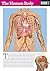 The Human Body: The Instant...