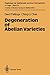 Degeneration of Abelian Var...
