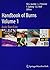 Handbook of Burns by Lars-Peter Kamolz
