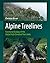 Alpine Treelines: Functional Ecology of the Global High Elevation Tree Limits
