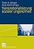 Transnationalisierung sozialer Ungleichheit (Sozialstrukturanalyse) (German Edition)