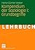 Kompendium der Soziologie I: Grundbegriffe (German Edition)