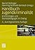 Handbuch Jugendkriminalität by Henning Schmidt-Semisch Ber...